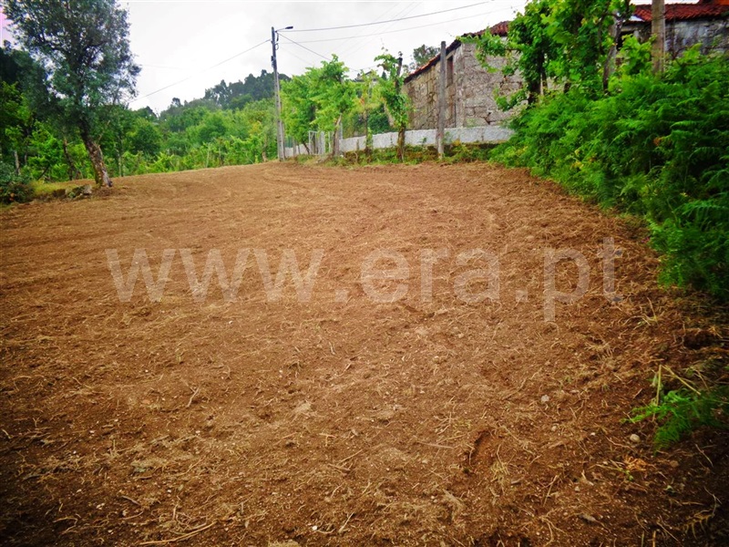 Terreno  Póvoa de Lanhoso, Sobradelo da Goma - 1332371 - 8