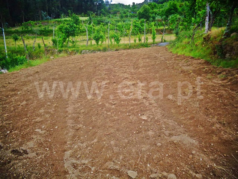 Terreno  Póvoa de Lanhoso, Sobradelo da Goma - 1332371 - 10