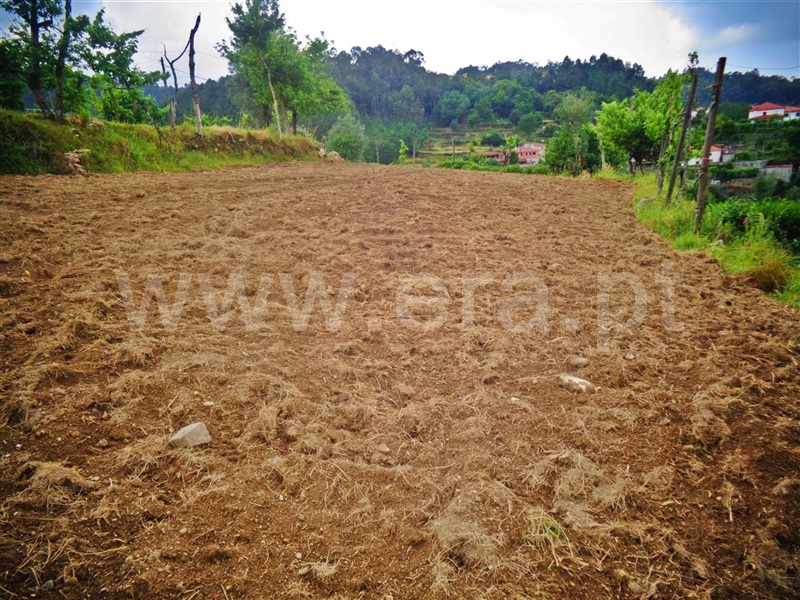 Terreno  Póvoa de Lanhoso, Sobradelo da Goma - 1332371 - 11