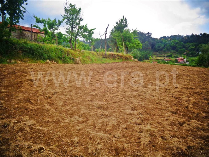 Terreno  Póvoa de Lanhoso, Sobradelo da Goma - 1332371 - 13