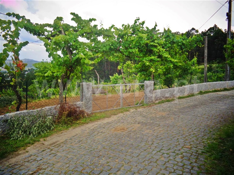 Terreno  Póvoa de Lanhoso, Sobradelo da Goma - 1332371 - 18