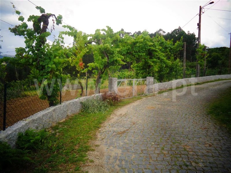 Terreno  Póvoa de Lanhoso, Sobradelo da Goma - 1332371 - 19