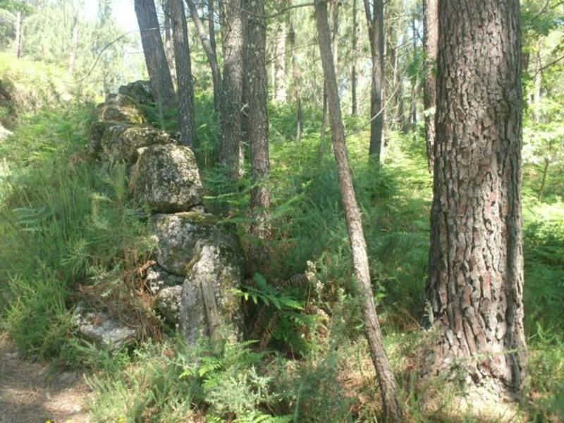 Terreno  Póvoa de Lanhoso, Sobradelo da Goma - 66906 - 4