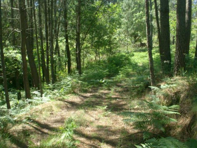 Terreno  Póvoa de Lanhoso, Sobradelo da Goma - 66906 - 7