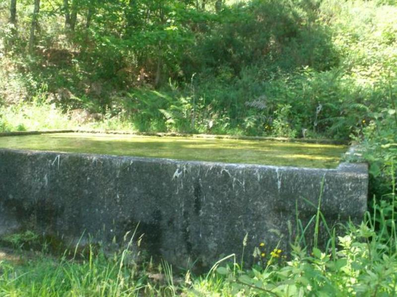 Terreno  Póvoa de Lanhoso, Sobradelo da Goma - 66906 - 9