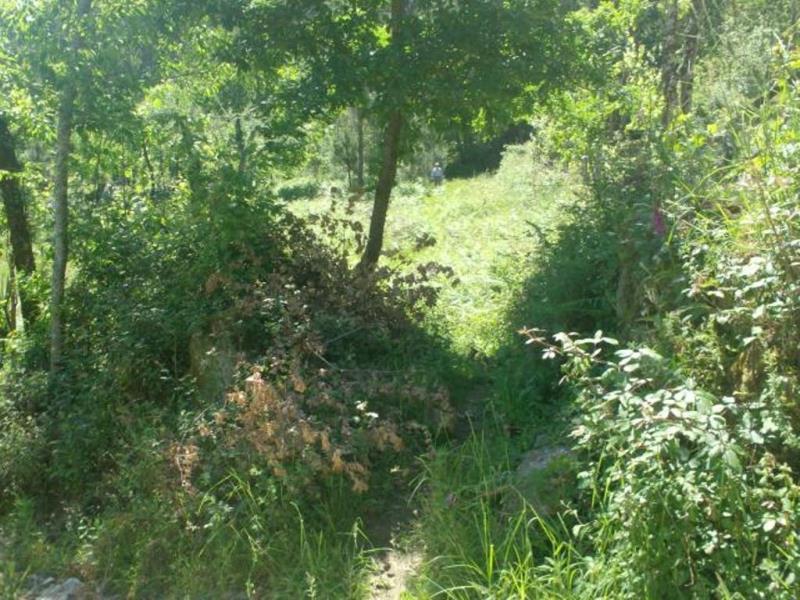 Terreno  Póvoa de Lanhoso, Sobradelo da Goma - 66906 - 10