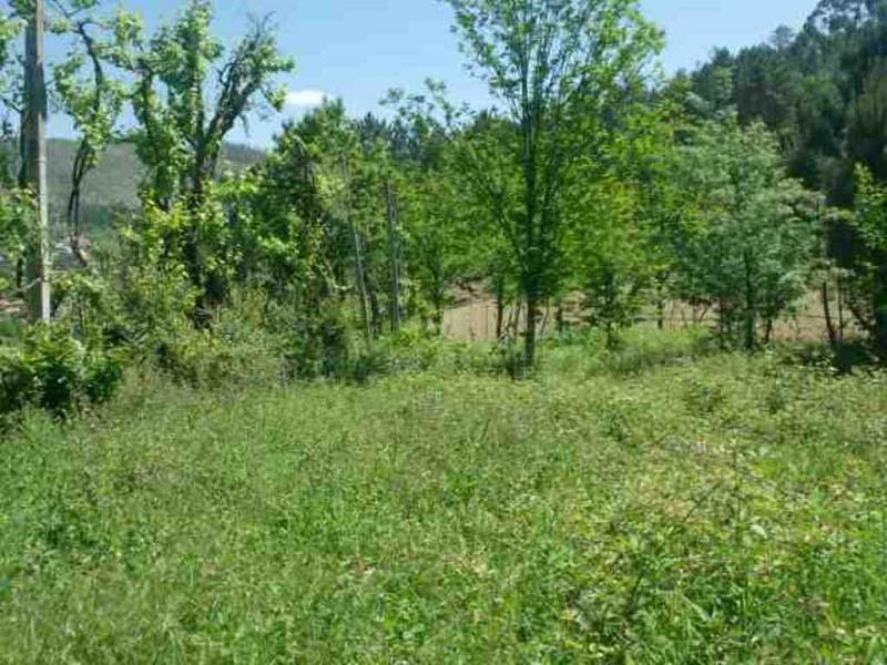 Terreno  Póvoa de Lanhoso, Sobradelo da Goma - 66906 - 12