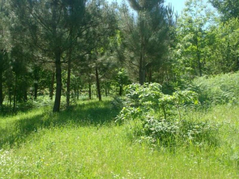 Terreno  Póvoa de Lanhoso, Sobradelo da Goma - 66906 - 13