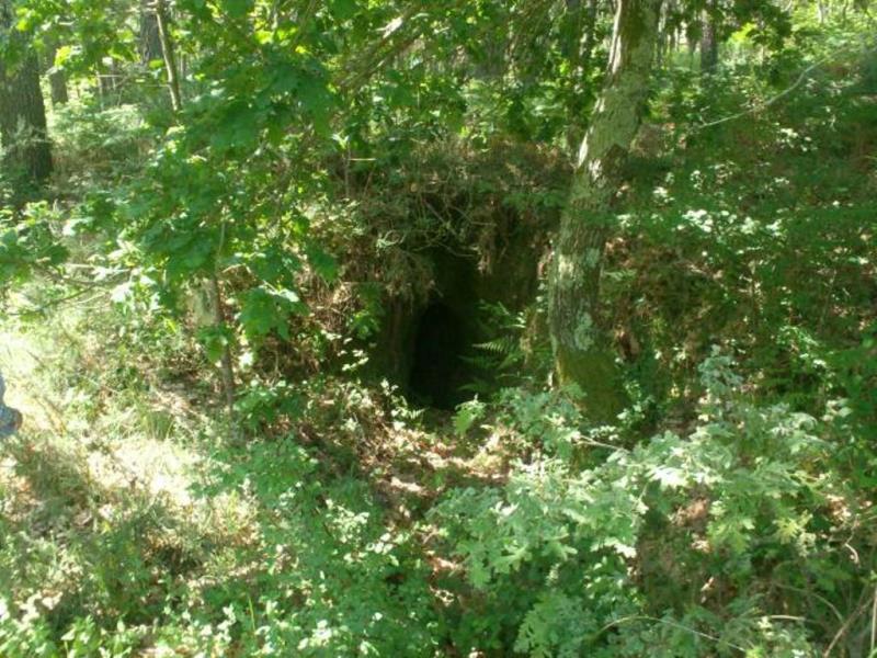 Terreno  Póvoa de Lanhoso, Sobradelo da Goma - 66906 - 19