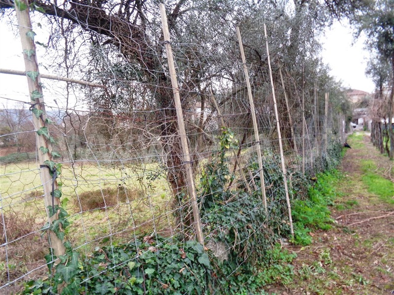 Terreno  Póvoa de Lanhoso, Taíde - 1065318 - 7