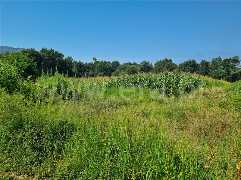 Terreno  Póvoa de Lanhoso, Taíde - 912996 - 5