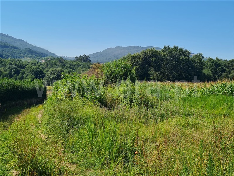 Terreno  Póvoa de Lanhoso, Taíde - 912996 - 6