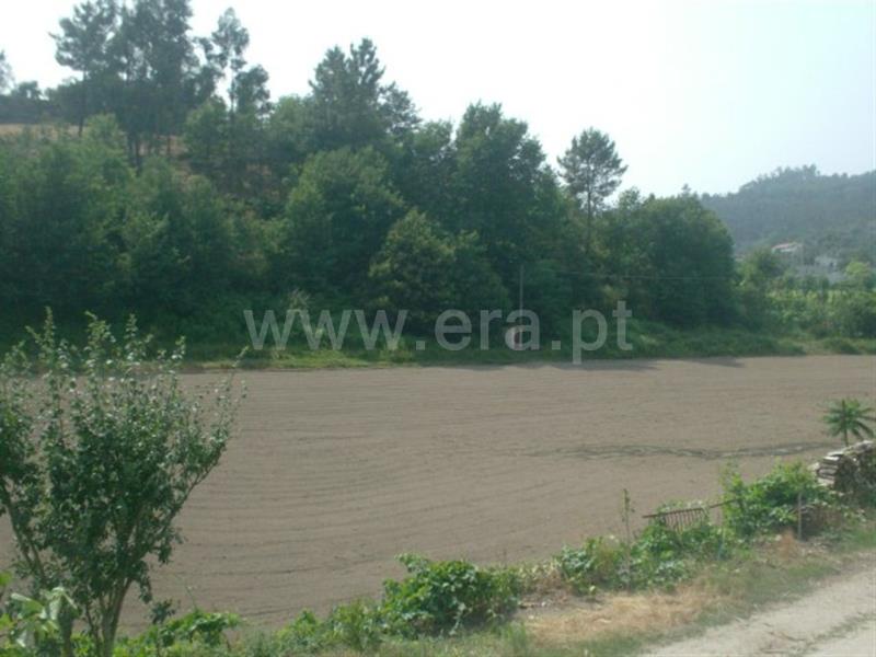 Terreno  Póvoa de Lanhoso, Travassos - 524615 - 9