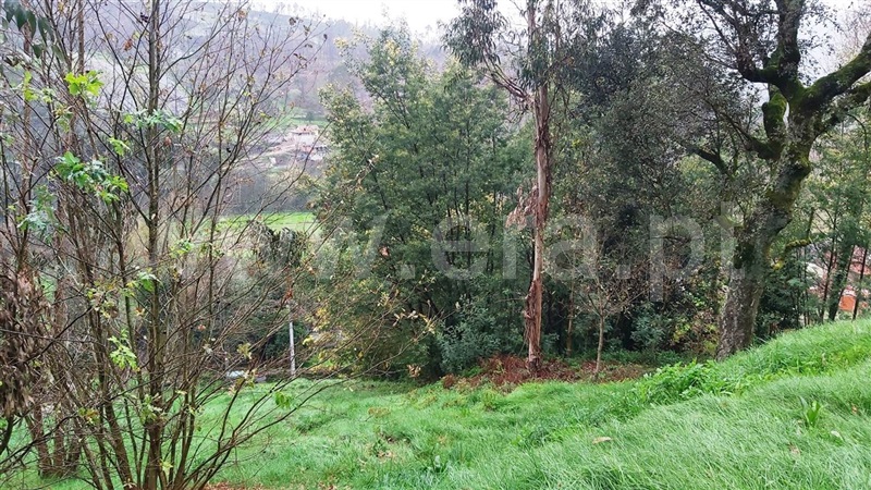 Terreno / Póvoa de Lanhoso, Verim, Friande e Ajude
