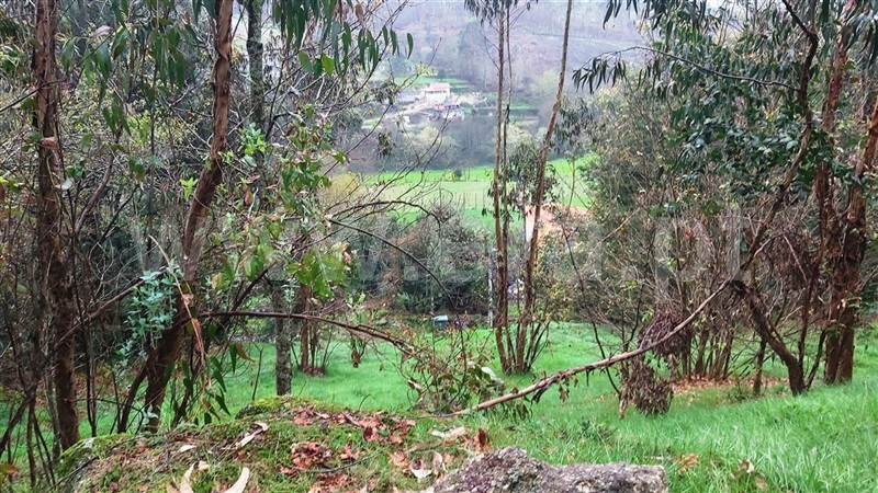 Terreno  Póvoa de Lanhoso, Verim, Friande e Ajude - 1466473 - 2