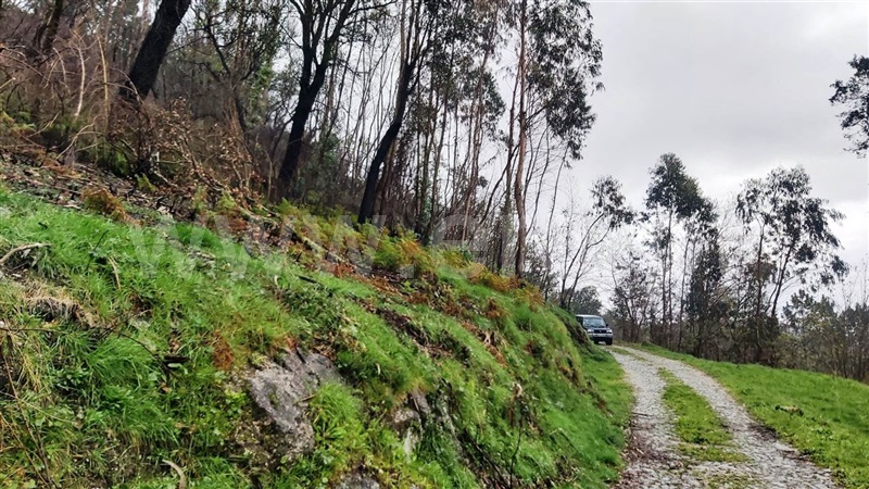 Terreno  Póvoa de Lanhoso, Verim, Friande e Ajude - 1466473 - 5