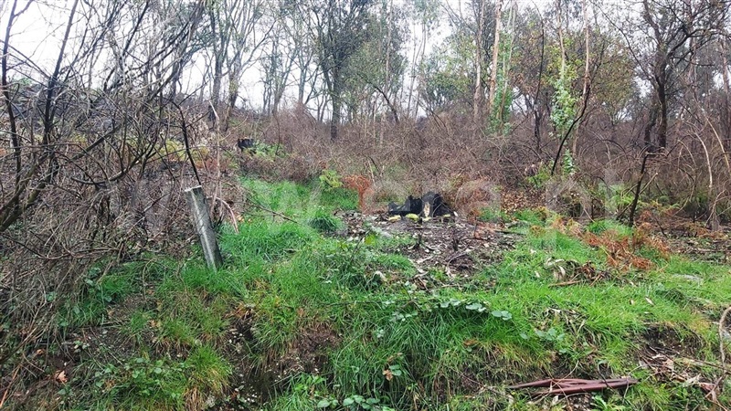 Terreno  Póvoa de Lanhoso, Verim, Friande e Ajude - 1466473 - 7