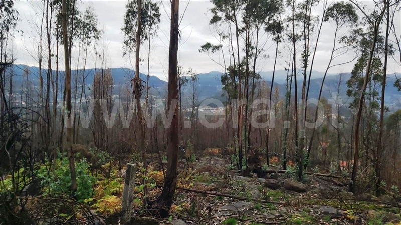 Terreno  Póvoa de Lanhoso, Verim, Friande e Ajude - 1466473 - 10