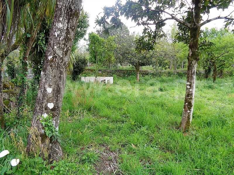 Terreno  Póvoa de Lanhoso, Verim, Friande e Ajude - 899221 - 2