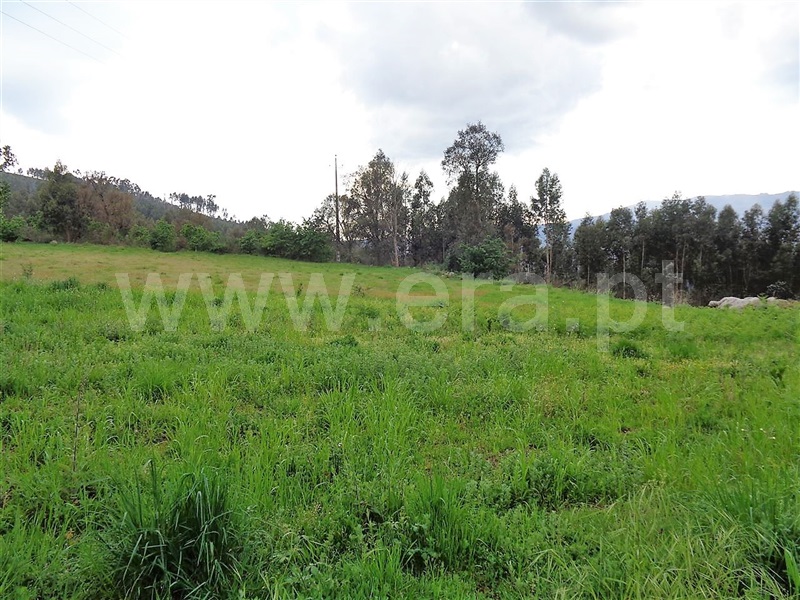 Terreno  Póvoa de Lanhoso, Verim, Friande e Ajude - 899221 - 3
