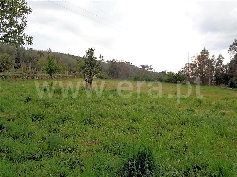 Terreno  Póvoa de Lanhoso, Verim, Friande e Ajude - 899221 - 4