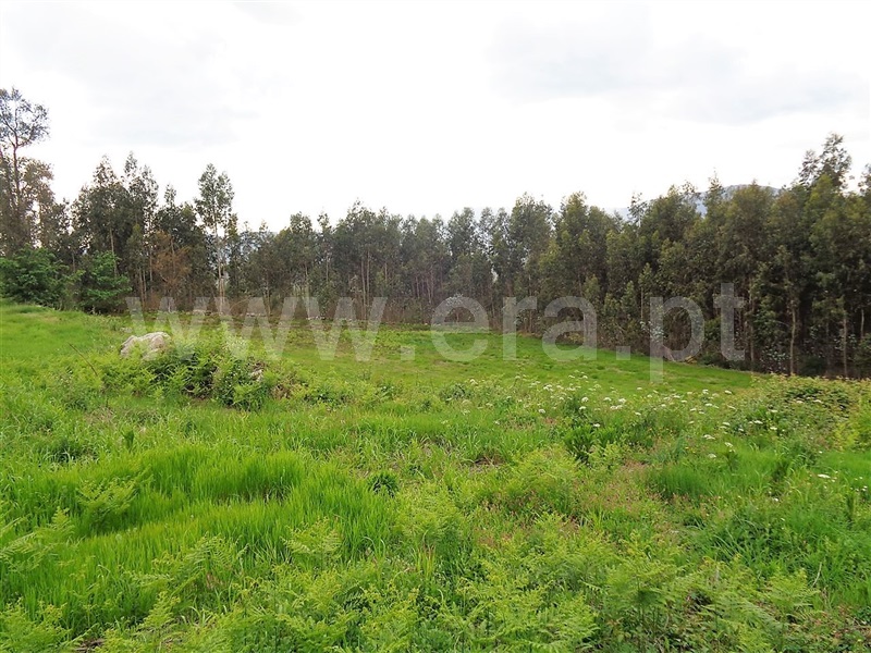 Terreno  Póvoa de Lanhoso, Verim, Friande e Ajude - 899221 - 5