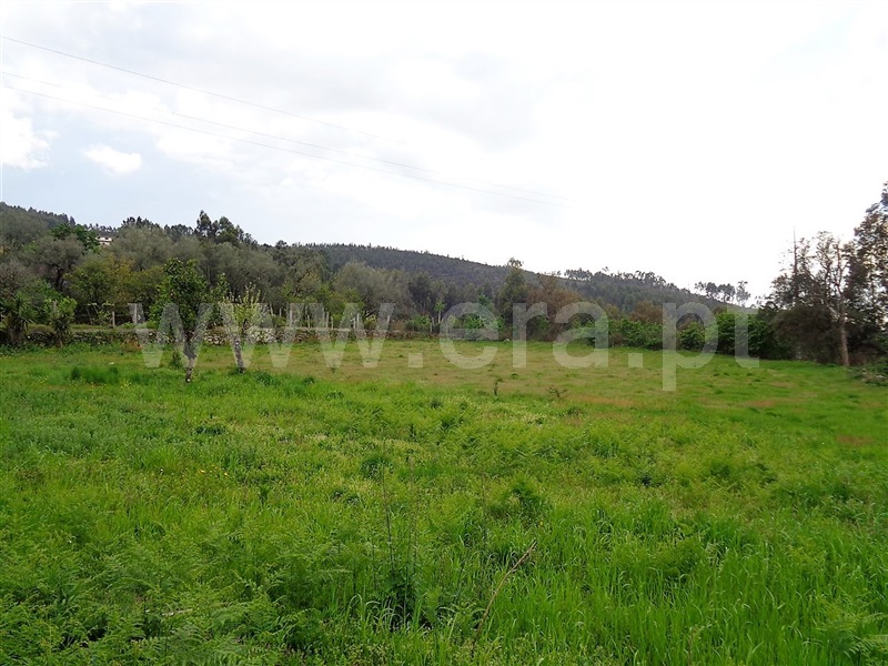Terreno  Póvoa de Lanhoso, Verim, Friande e Ajude - 899221 - 6