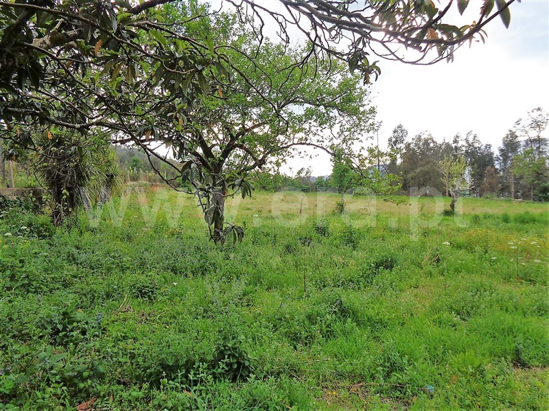 Terreno  Póvoa de Lanhoso, Verim, Friande e Ajude - 899221 - 7