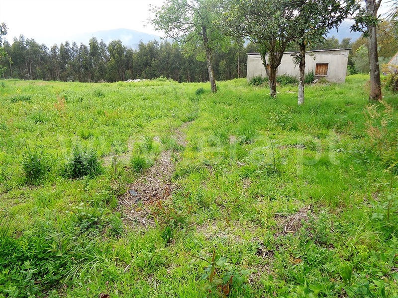 Terreno  Póvoa de Lanhoso, Verim, Friande e Ajude - 899221 - 8