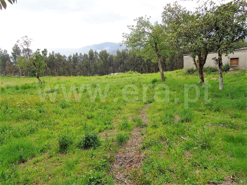 Terreno  Póvoa de Lanhoso, Verim, Friande e Ajude - 899221 - 9