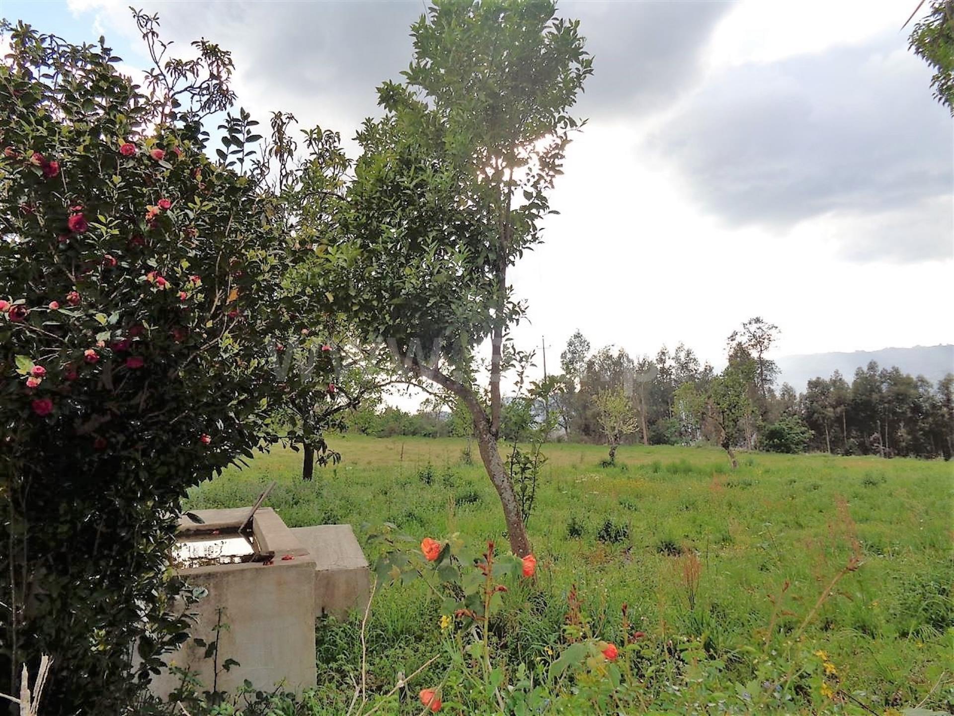 Terreno em Póvoa de Lanhoso