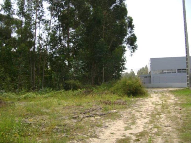 Terreno / Póvoa de Lanhoso, Vilela