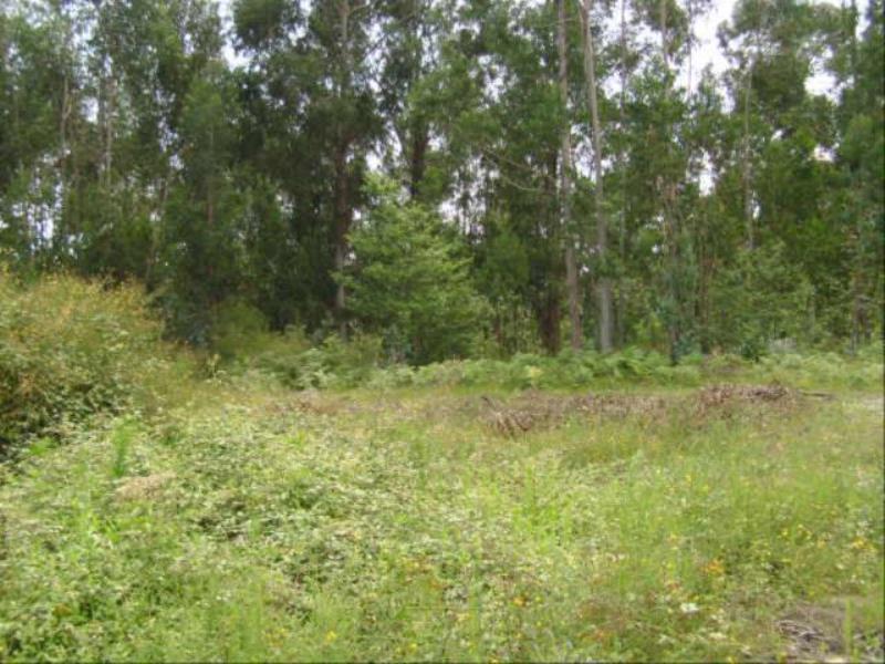 Terreno  Póvoa de Lanhoso, Vilela - 64818 - 2