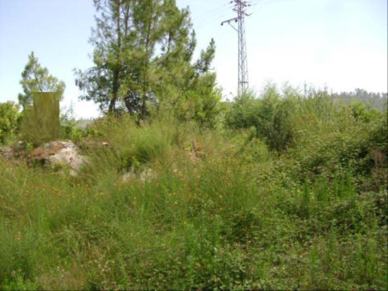 Terreno  Póvoa de Lanhoso, Vilela - 64818 - 3
