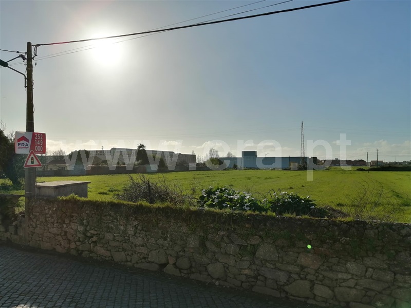 Terreno / Póvoa de Varzim, Argivai