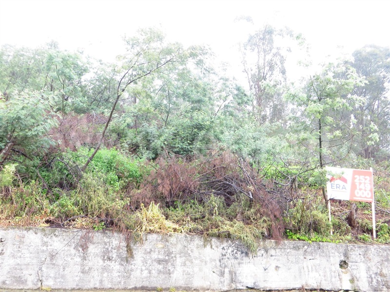 Terreno  Póvoa de Varzim, Aver-o-Mar, Amorim e Terroso - 1046447 - 3