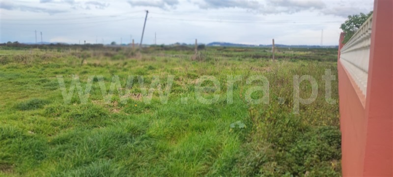Terreno / Póvoa de Varzim, Aver-o-Mar, Amorim e Terroso