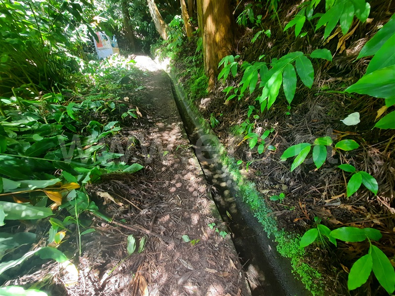 Terreno  Povoação - 1350373 - 4