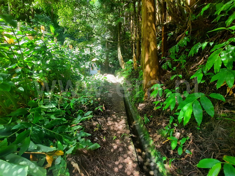 Terreno  Povoação - 1350373 - 5