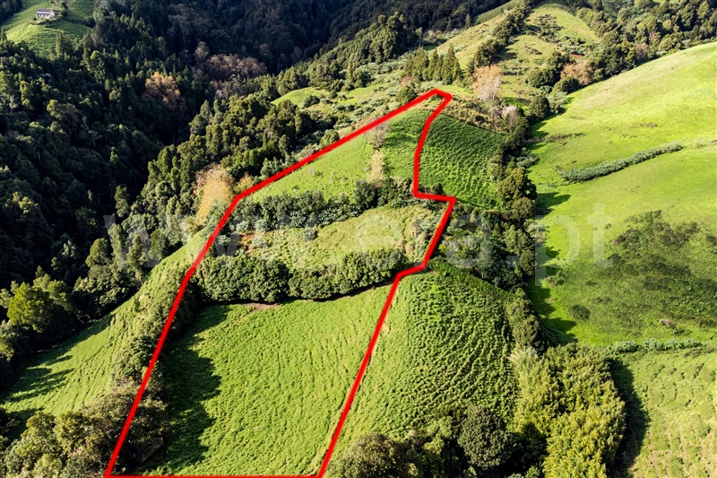 Terreno / Povoação, Povoação