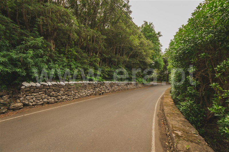 Terreno  com Rústico Praia da Vitória, Fontinhas - 1496458 - 5