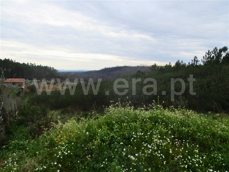 Terreno  Proença-a-Nova, Chão do Galego - 1390669 - 2