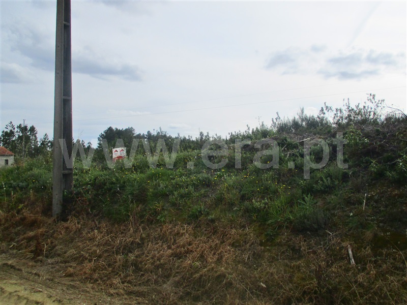 Terreno  Proença-a-Nova, Chão do Galego - 1390669 - 4