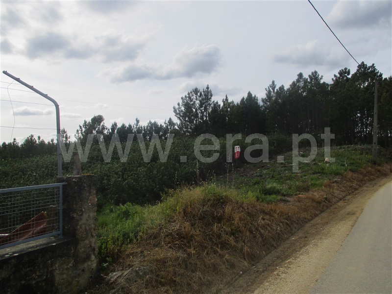 Terreno / Proença-a-Nova, Montes da Senhora