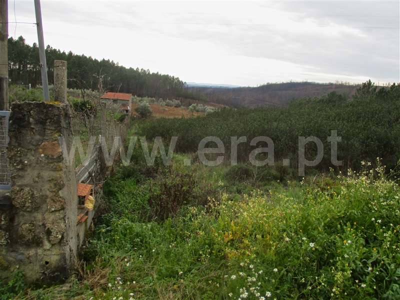 Terreno  Proença-a-Nova, Chão do Galego - 1390669 - 8