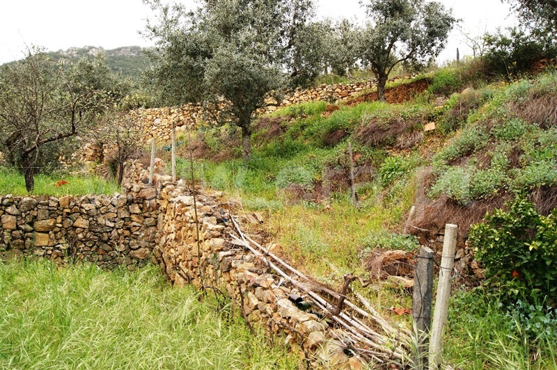 Terreno  Proença-a-Nova, Montes da Senhora - 635511 - 2