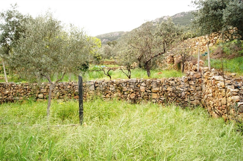 Terreno  Proença-a-Nova, Montes da Senhora - 635511 - 3