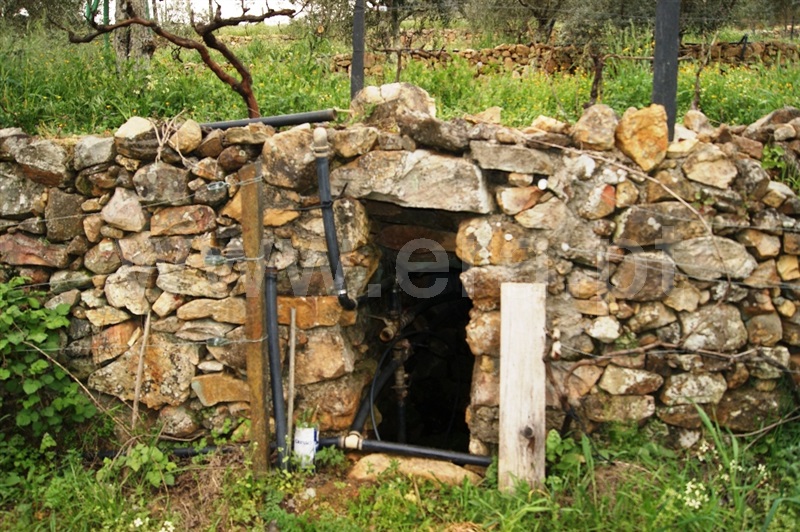 Terreno  Proença-a-Nova, Montes da Senhora - 635511 - 10
