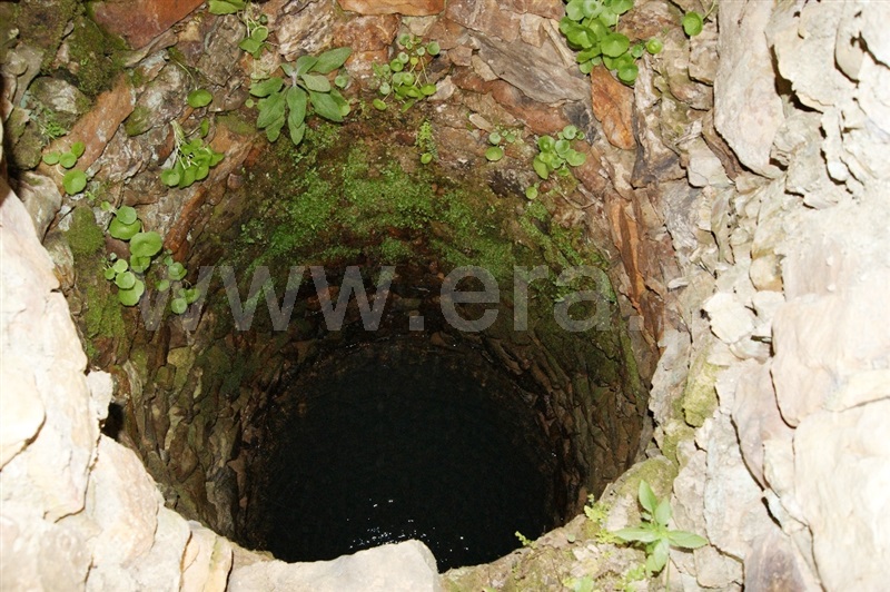 Terreno  Proença-a-Nova, Montes da Senhora - 635511 - 11
