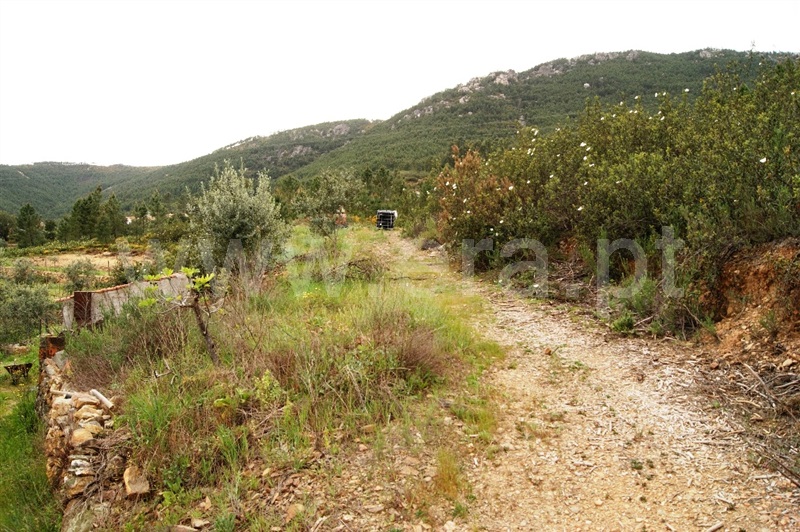 Terreno  Proença-a-Nova, Montes da Senhora - 635511 - 12